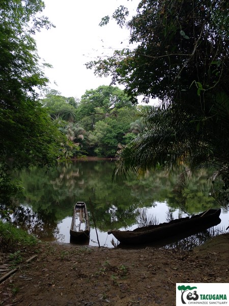 File:Jabui island crossing point.jpg