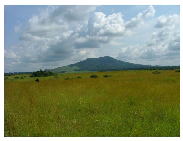 File:Landscape Fouari.jpg