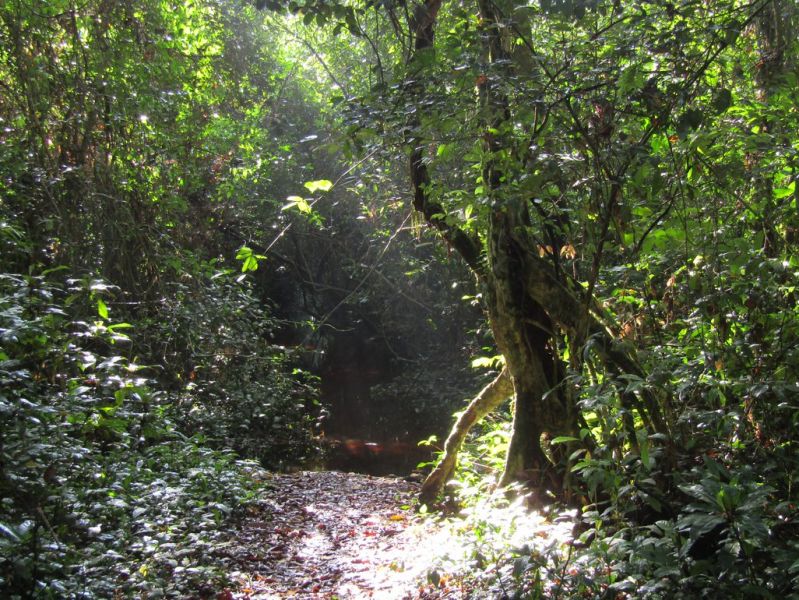 File:Stream Anga sector.jpg