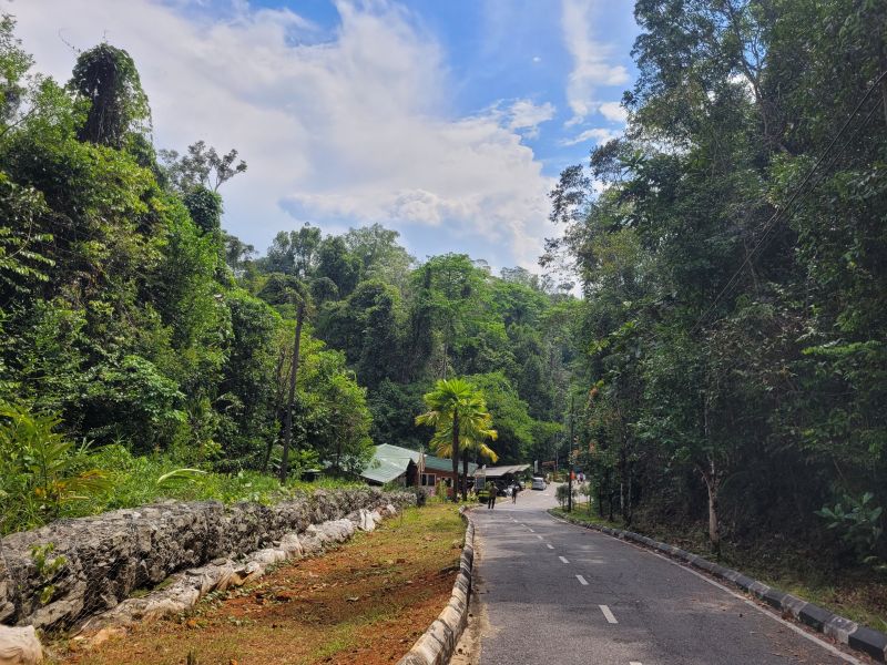 File:Road Semenggoh.jpg