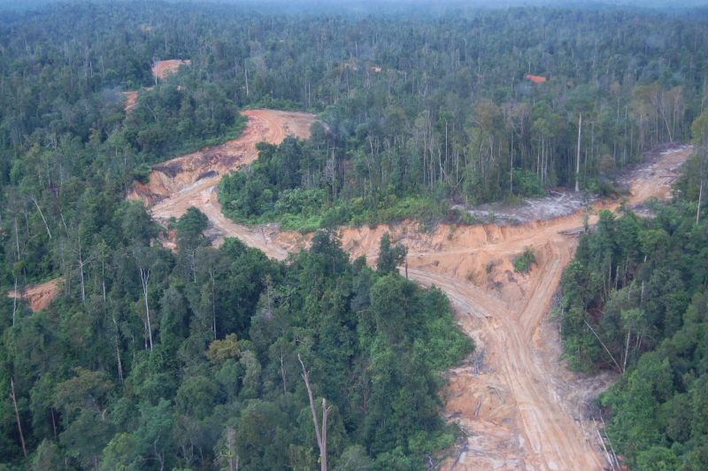 File:Threats roads HUTAN.JPG