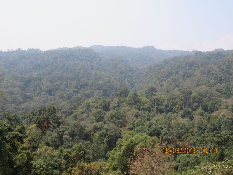 File:WCS MP AYTun landscape.jpg