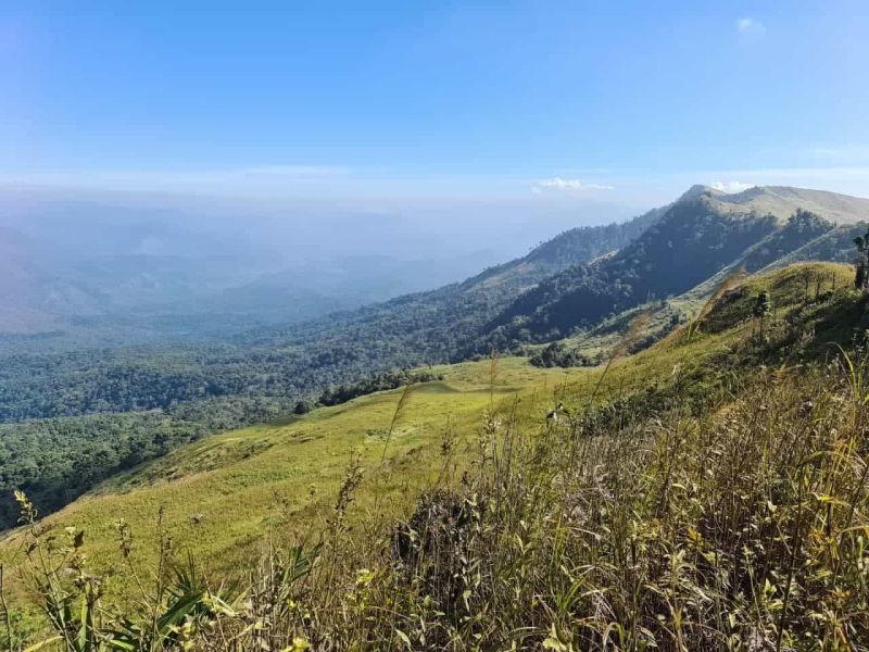 File:Landscape jaywhite.jpg