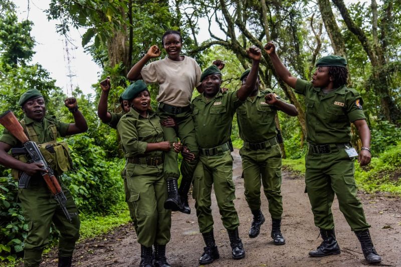 File:Rangers VNP.jpg