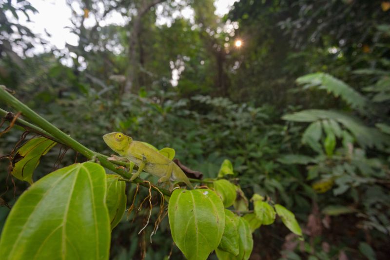 File:Photo 2026-06-12 15-41-03.jpg