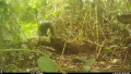 Thumbnail for version as of 17:58, 30 October 2025