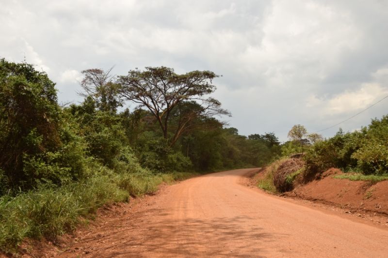 File:Kasokwa Kityedo habitat3.JPG